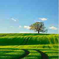 网​页﻿css怎​么‍做‌